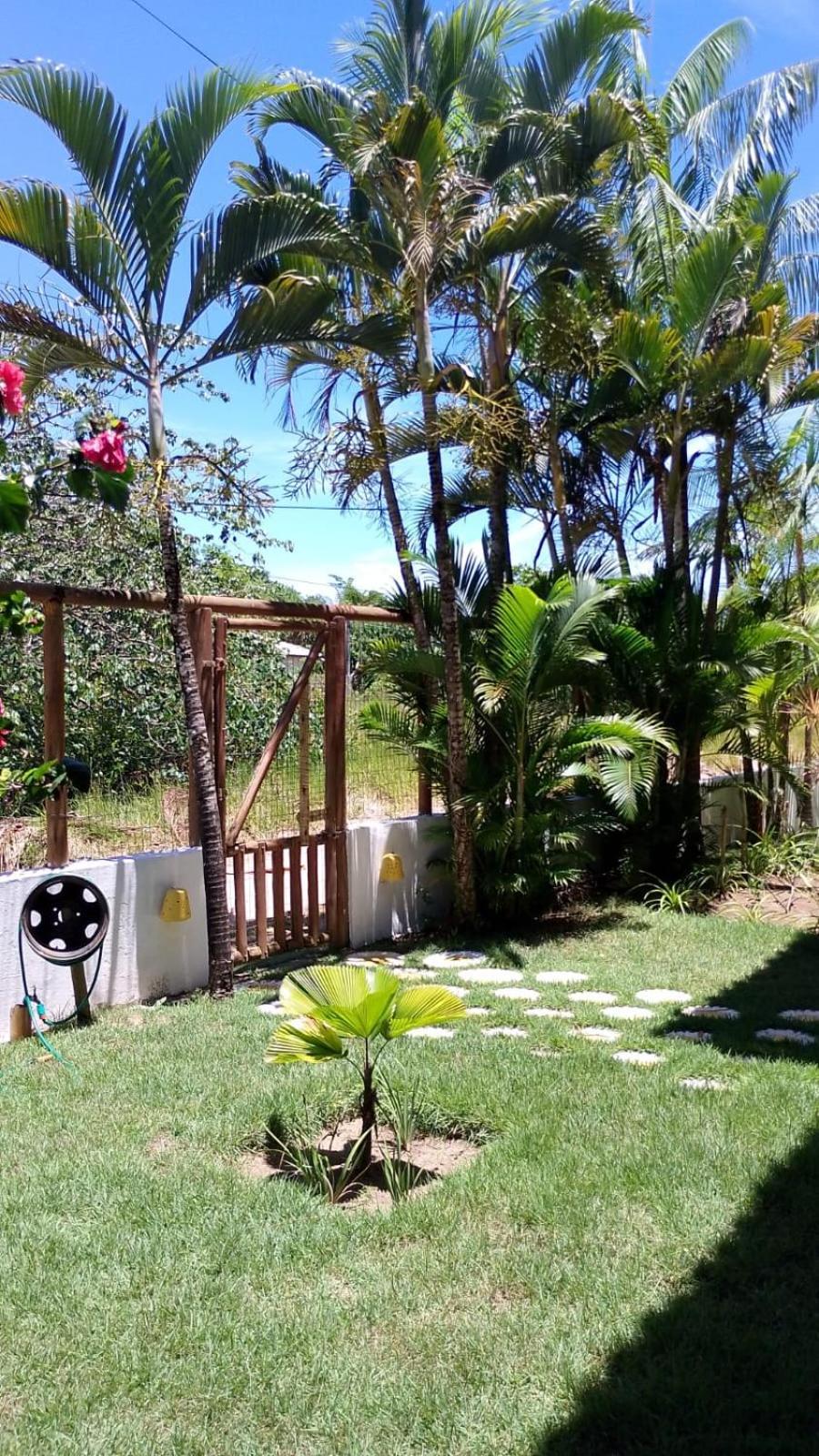 Pousada Eucaliptos Barra Grande  Exterior photo